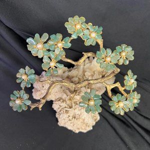Swoboda Bonsai Gem Tree